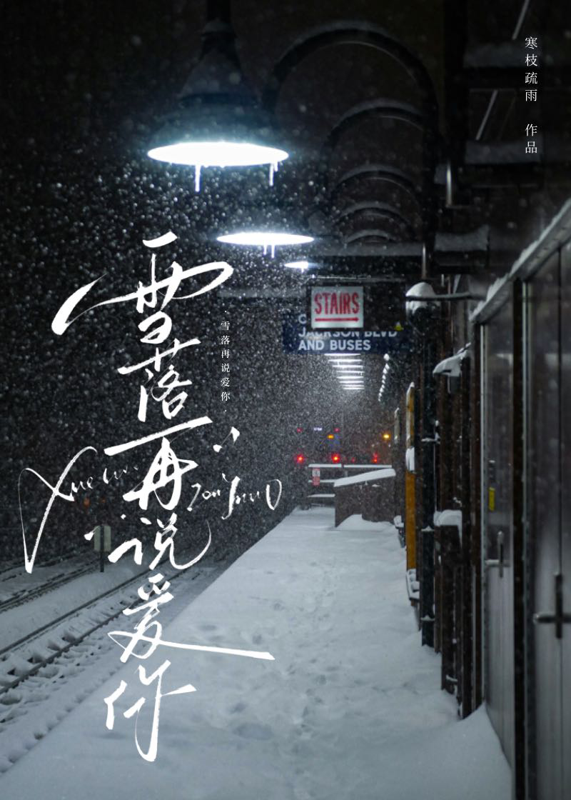 雪落再说爱你