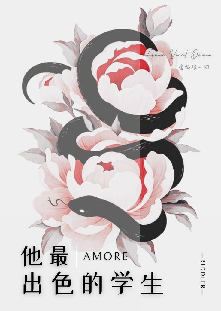 他最出色的学生（Amore）【HP】